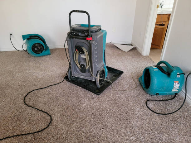 Best Flood damage cleanup  in Cumberland, WI
