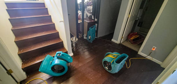 Best Water damage cleanup near me  in Cumberland, WI