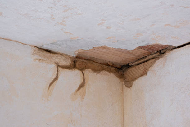 Best Water damage restoration near me  in Cumberland, WI