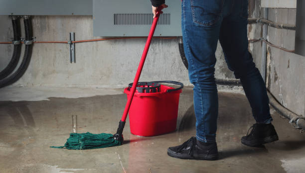 Best Flood restoration services  in Cumberland, WI