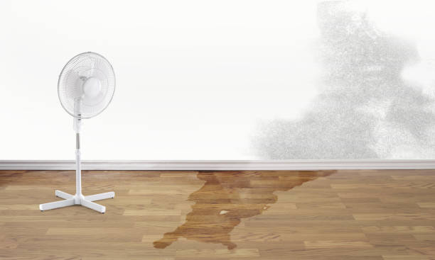 Best Fire Damage Restoration  in Cumberland, WI