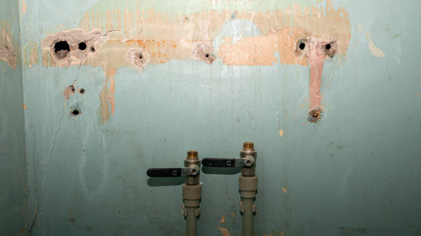 Best Water damage restoration company  in Cumberland, WI